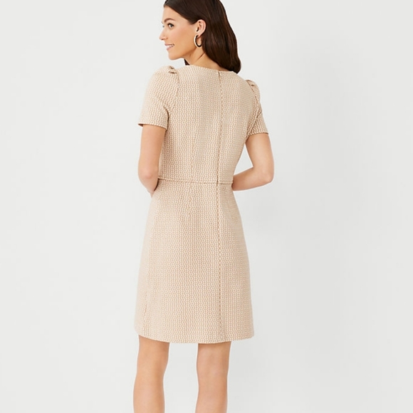 Ann Taylor Dress - Picture 3 of 3